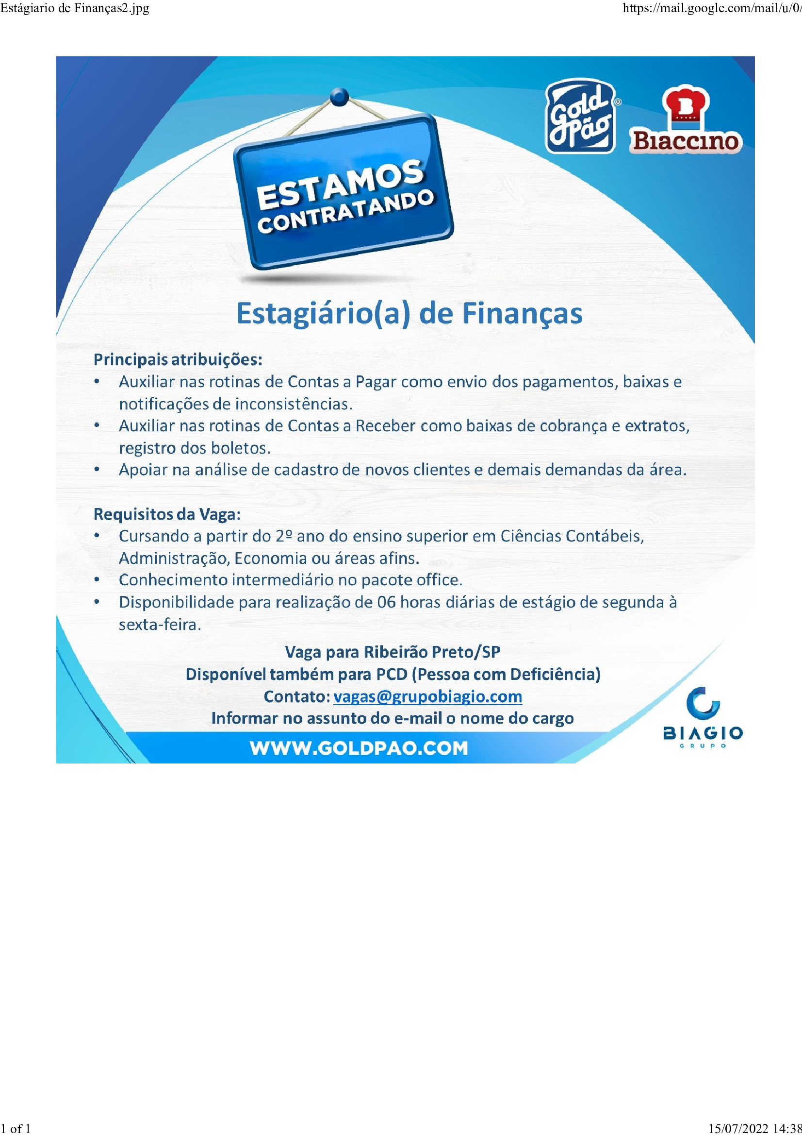 Biaccino-Finanças2.png
